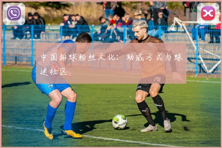 中国排球粉丝文化：助威方式与球迷社区