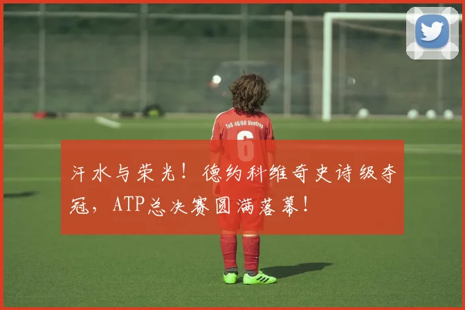 汗水与荣光！德约科维奇史诗级夺冠，ATP总决赛圆满落幕！