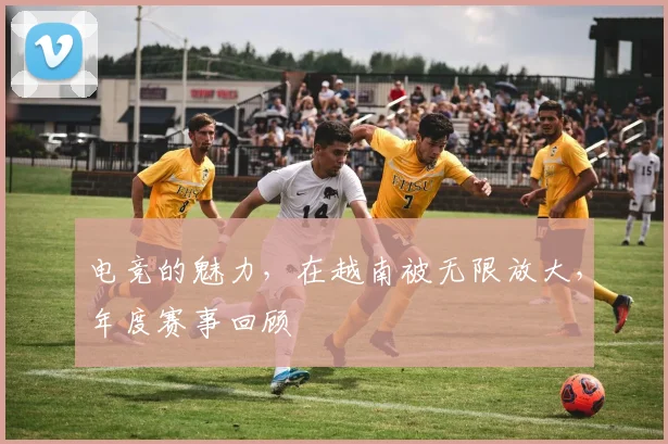 电竞的魅力，在越南被无限放大，年度赛事回顾