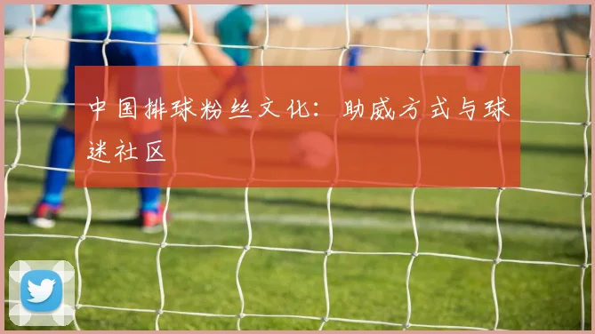 中国排球粉丝文化：助威方式与球迷社区